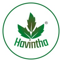Havinthaa