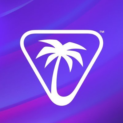 TurtleBeach